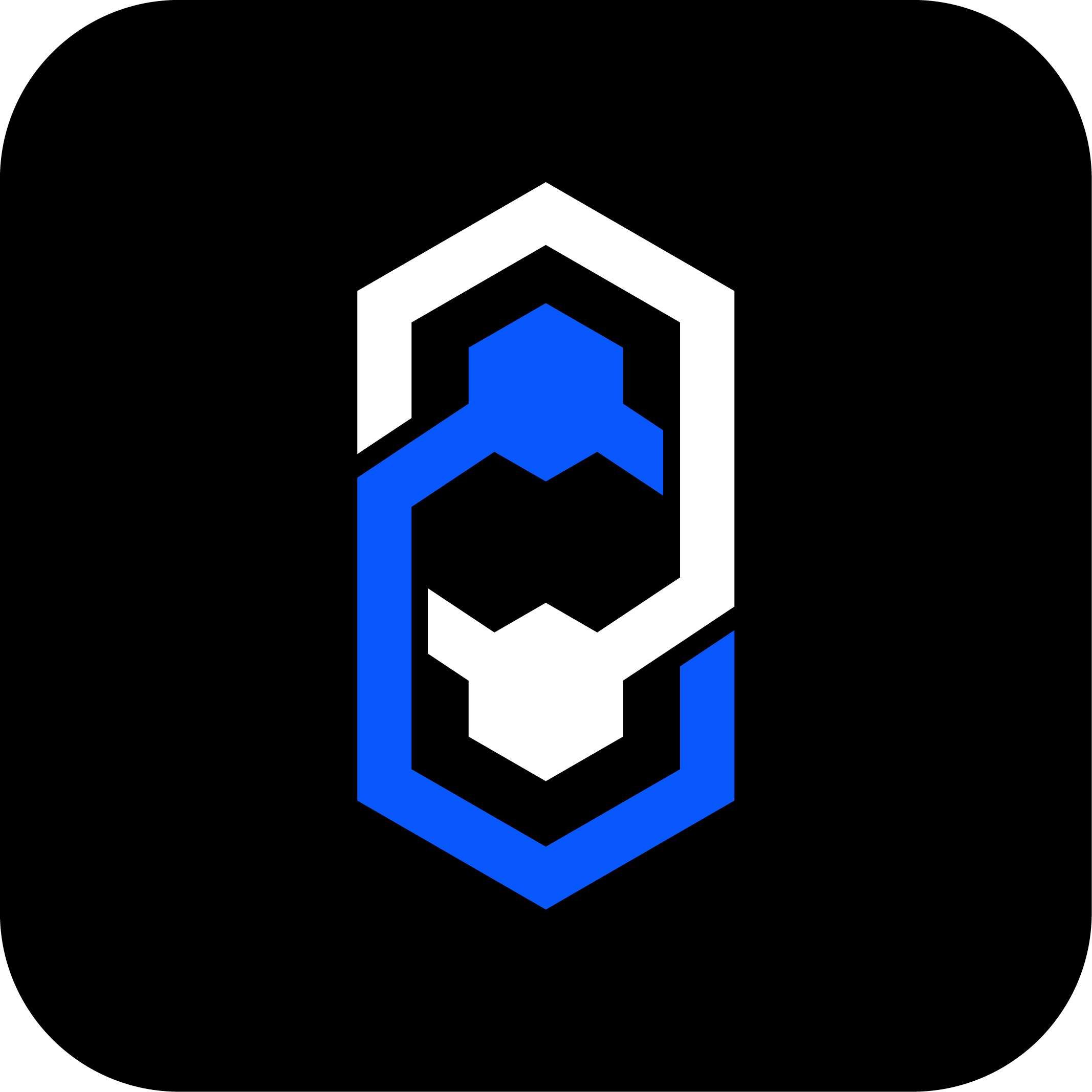 Token Fleet Logo